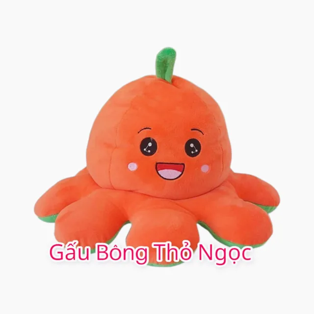 Bạch tuộc bông màu cam
