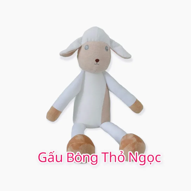 Cừu bông chân dài màu trắng