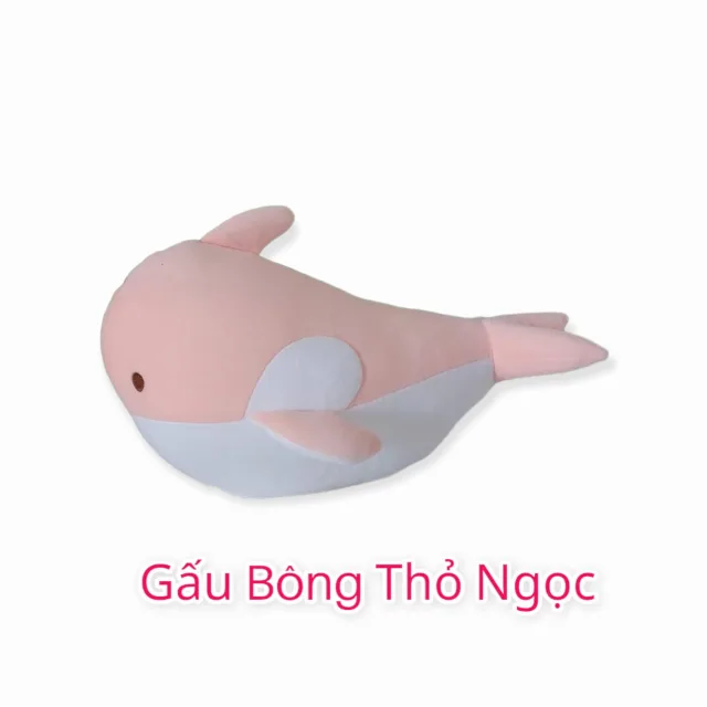 Cá heo bông màu hồng
